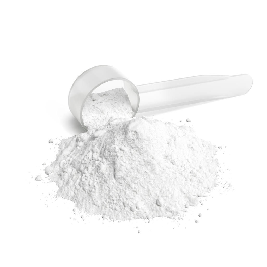 Atlas Recovery L-Glutamine